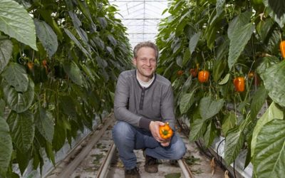 ‘Uitblijven echte oplossing binnenrot is verontrustend’