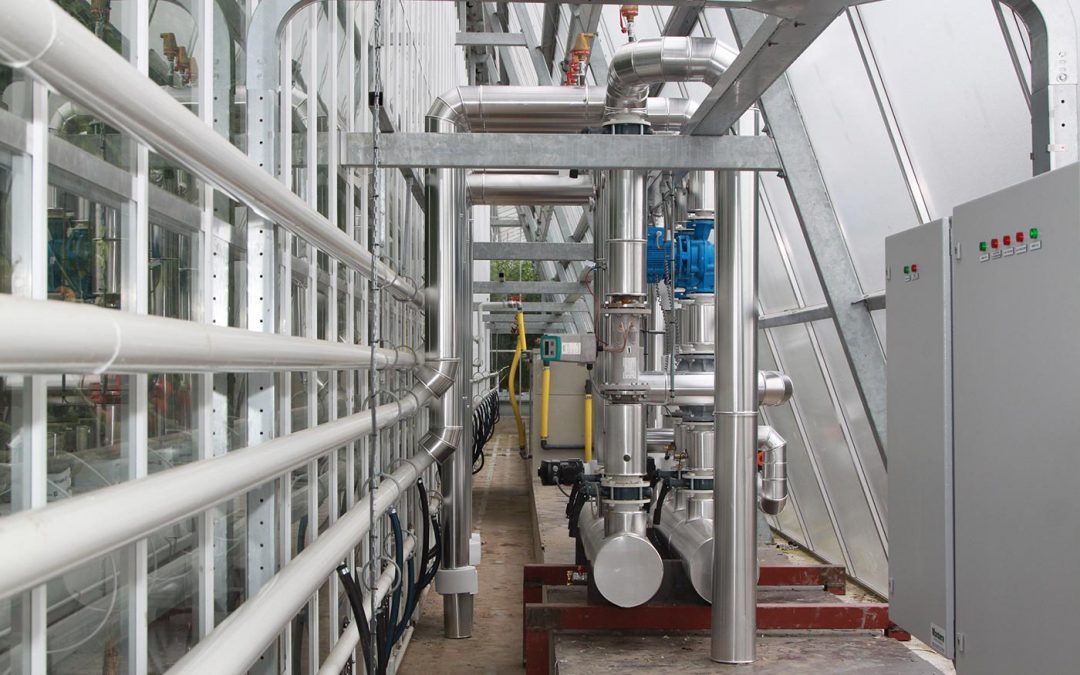 Alles over ID Kas van Technokas en Gebr. Duijvestijn in Onder Glas