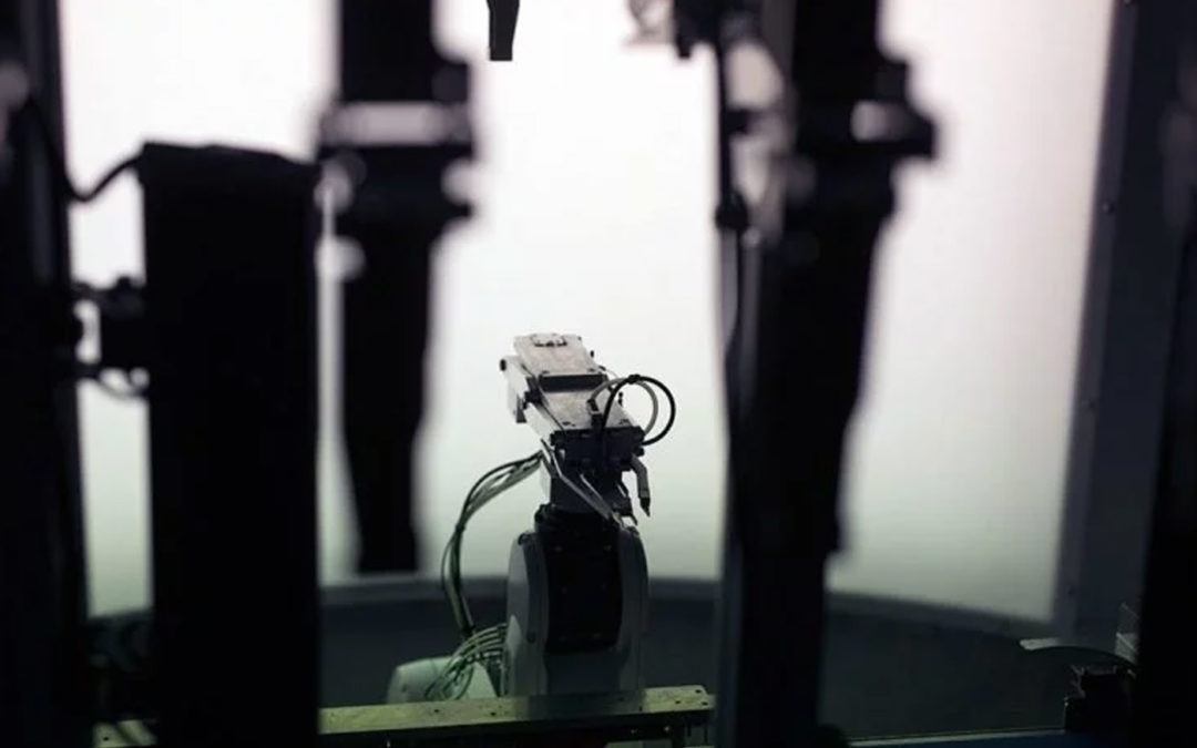 Waiting for the horticulture robot
