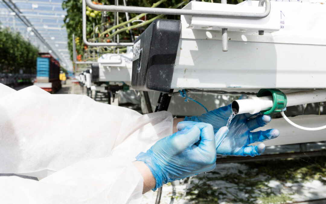 Het gebruik van waterstofperoxide ligt onder de loep