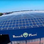 Bunnik Plants stapt over op zonne-energie