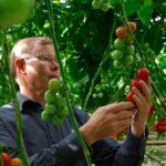 Priva brengt visie topondernemers tuinbouw in beeld