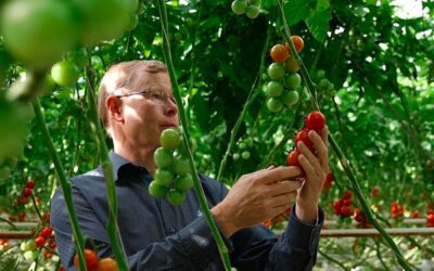 Priva brengt visie topondernemers tuinbouw in beeld