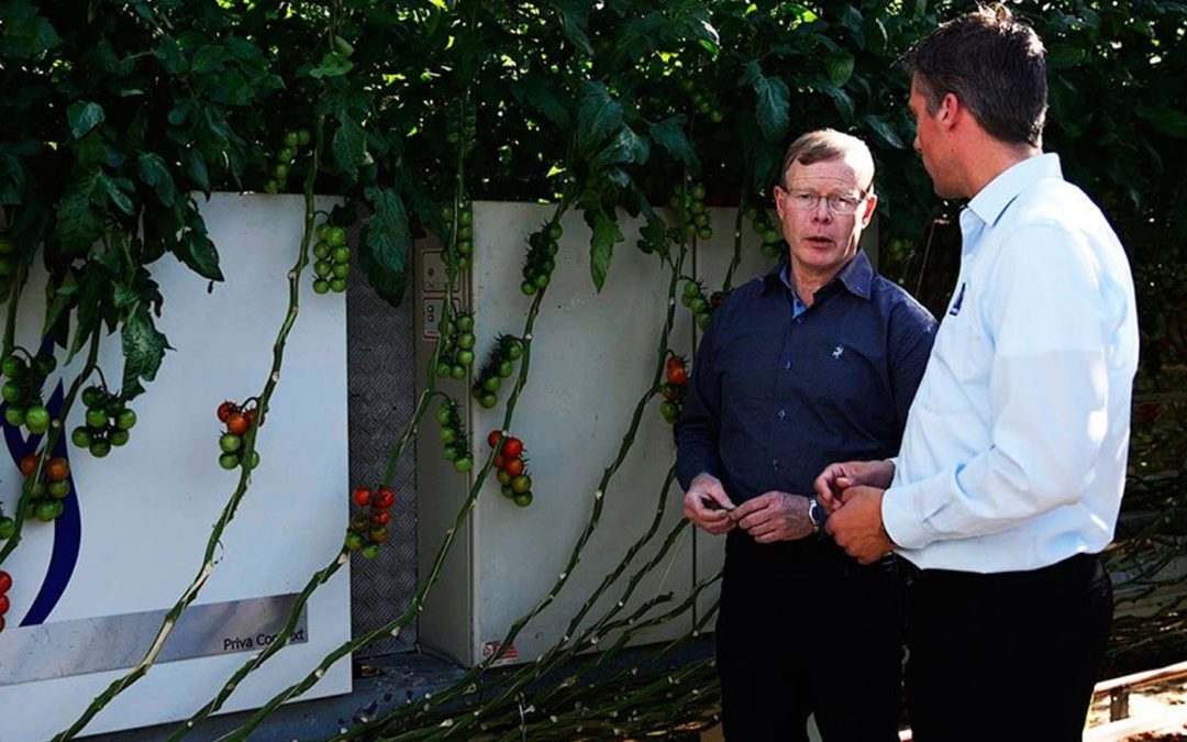 ‘Een goed teeltklimaat geeft gezondere planten’