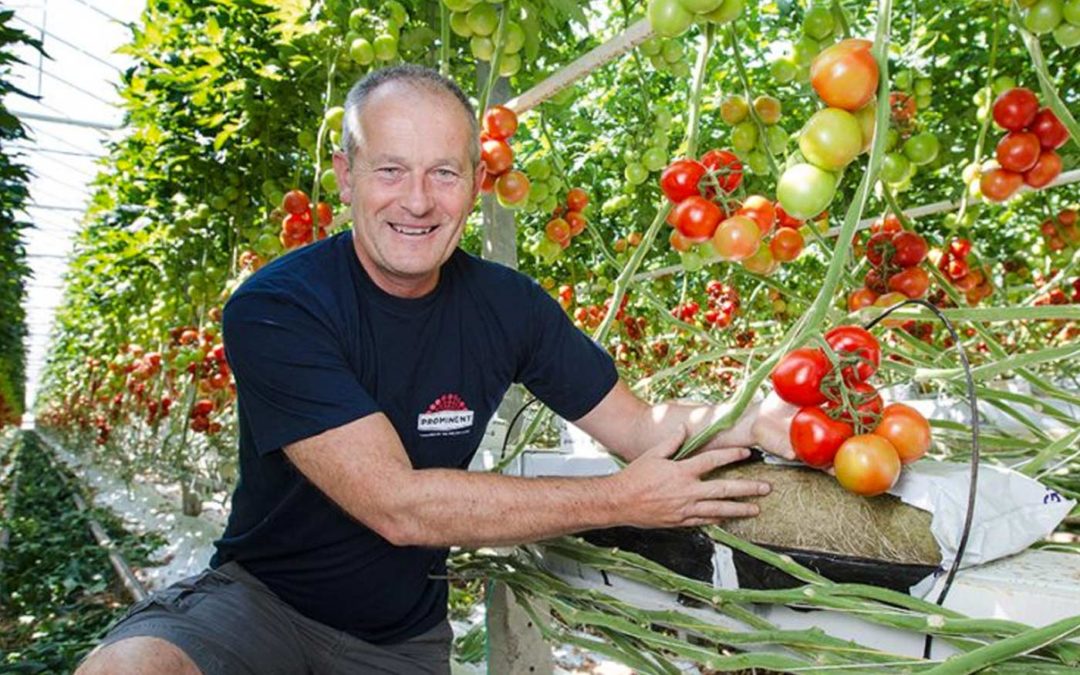 ‘With good bacteria and fungi you can win the war in the slab’