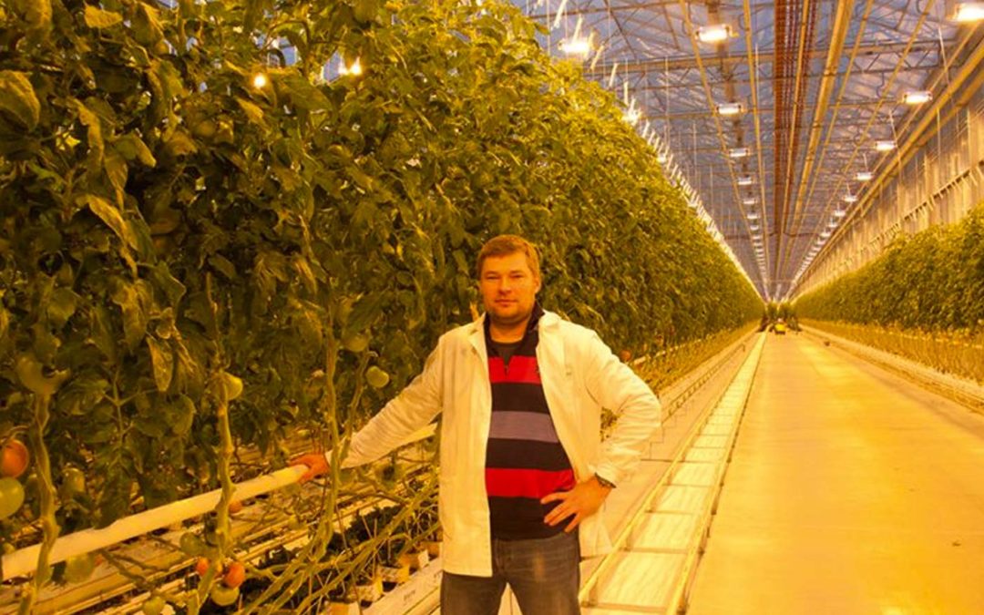 Contributing to the region’s self-sufficiency in vegetable production