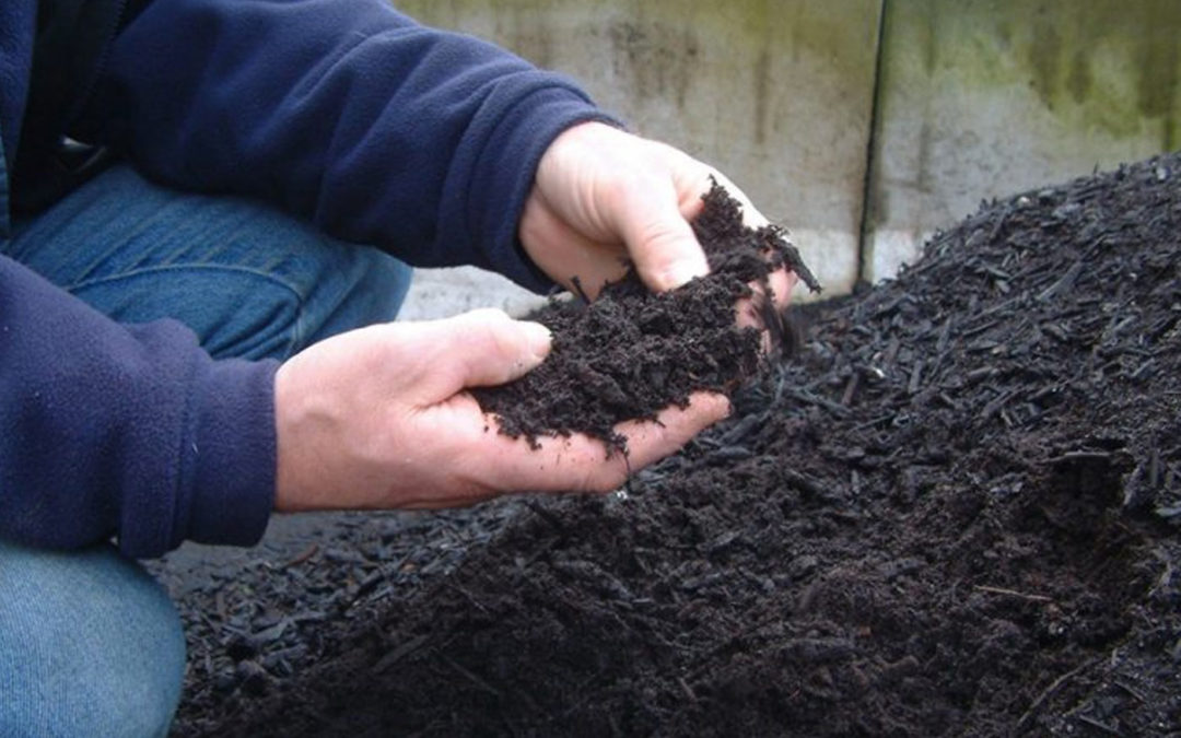Use compost to increase resistance to plant diseases