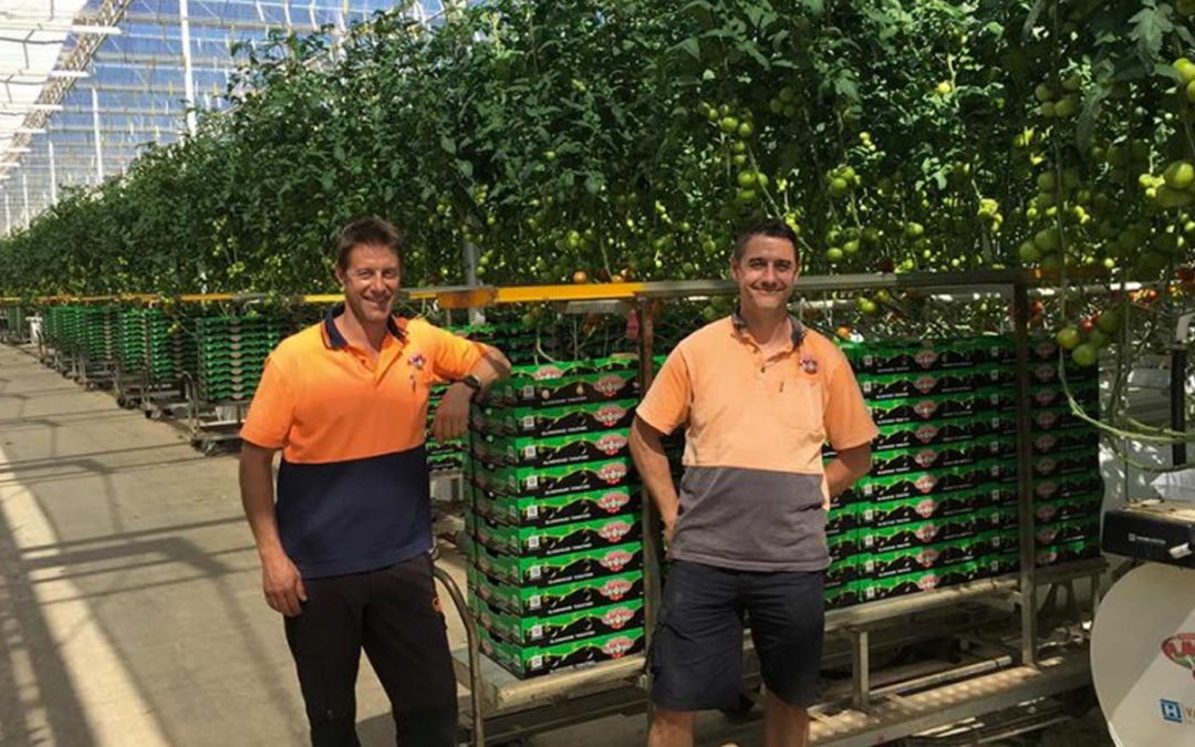 Australian marketing success supported by Dutch cultivation know-how