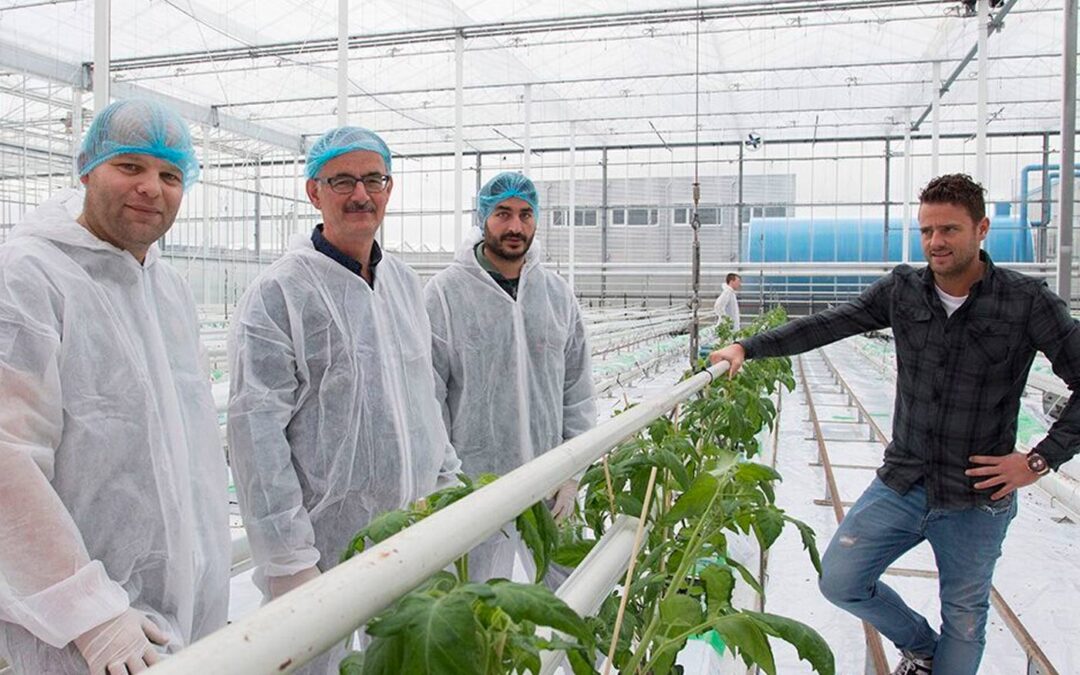 Planten via wortels sturen naar vegetatieve of generatieve groei