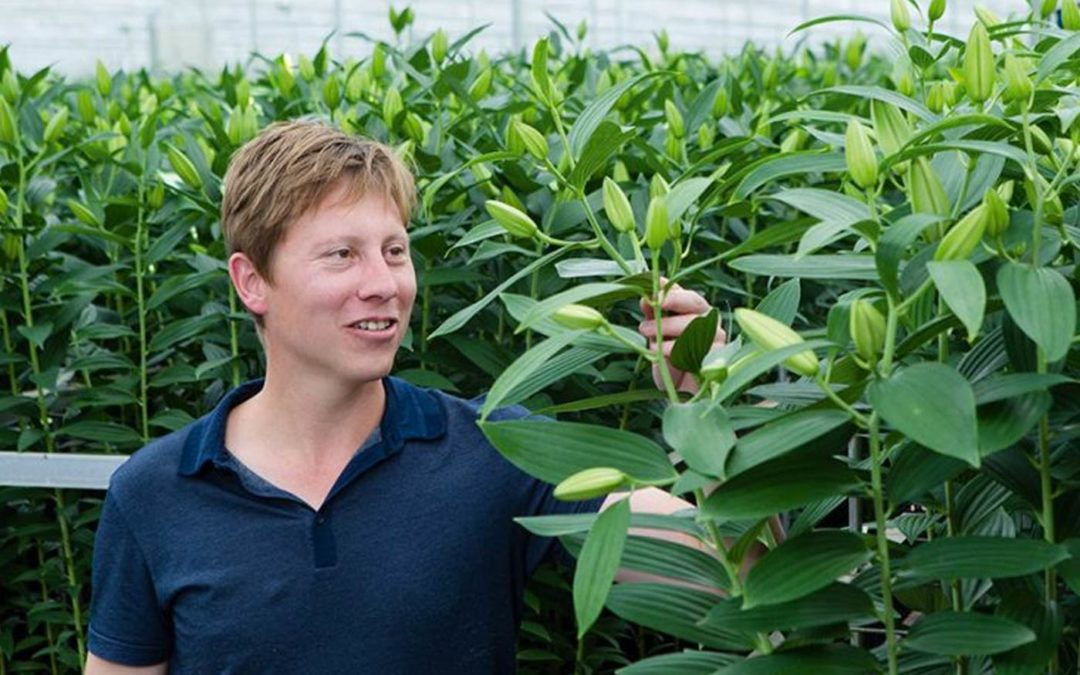CO2-dosing brings huge energy savings with same quality