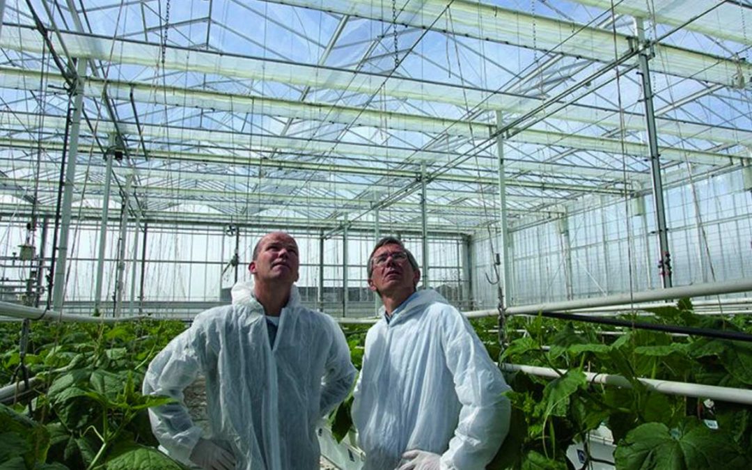 ‘Controlled removal of moisture results in energy savings’