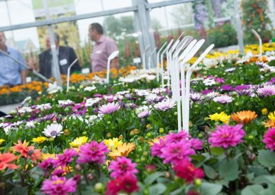 Flower Trials zijn essentieel evenement geworden op sierteeltkalender