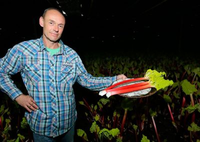 ‘Vooral de Engelsen zijn rabarberliefhebbers’