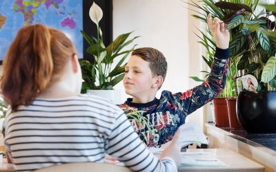 Planten zuiveren lucht, maar praktische invulling stuit op gebrek aan kennis