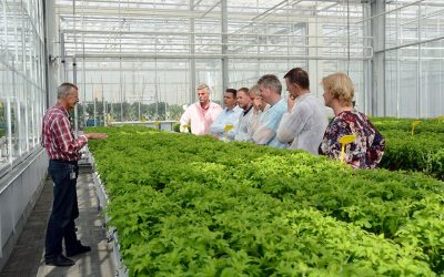 Slinkende wereldvoorraad fosfaat dwingt tot kritische kijk op gebruik