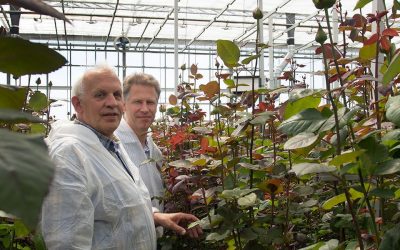 ‘Productie Red Naomi goed en houdbaarheid weer in de lift’