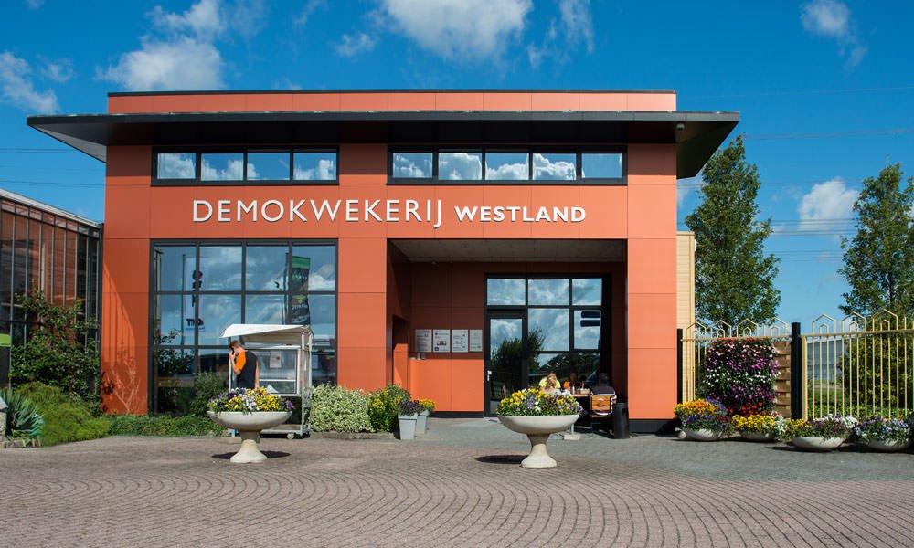 Demokwekerij Westland, startup, pitch, event, Metropolitan Startup Lab, Yes Delft, studenten, big data, duurzame energie, mobiliteit, circulaire economie, innovatie
