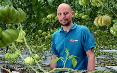 Vervuiling watersysteem aangepakt met polyfosfaat en biocide