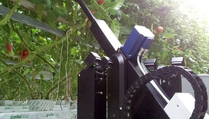 Priva deleafing robot co-created with growers