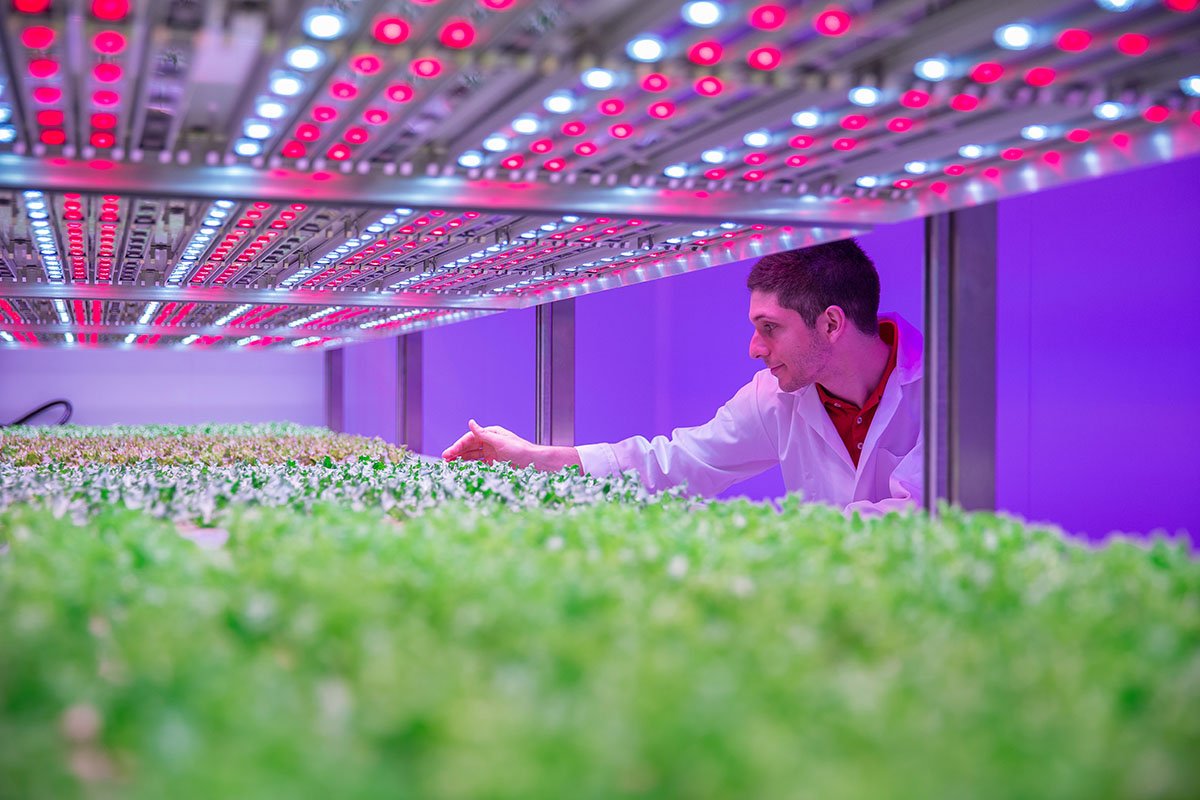 tuinbouw, innovatie, glastuinbouw, city farming, urban farming, vertical farming, onderzoek, GrowWise onderzoekscentrum, Philips, Priva, LED-verlichting, meerlagenteelt, bladgroenten, kruidenteelt, aardbei