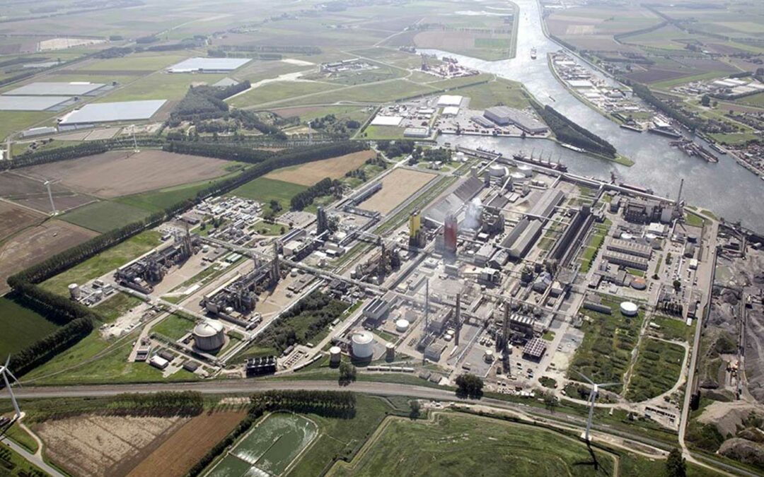 Nieuwe tuinbouwgebieden richten zich vooral op groenteteelt