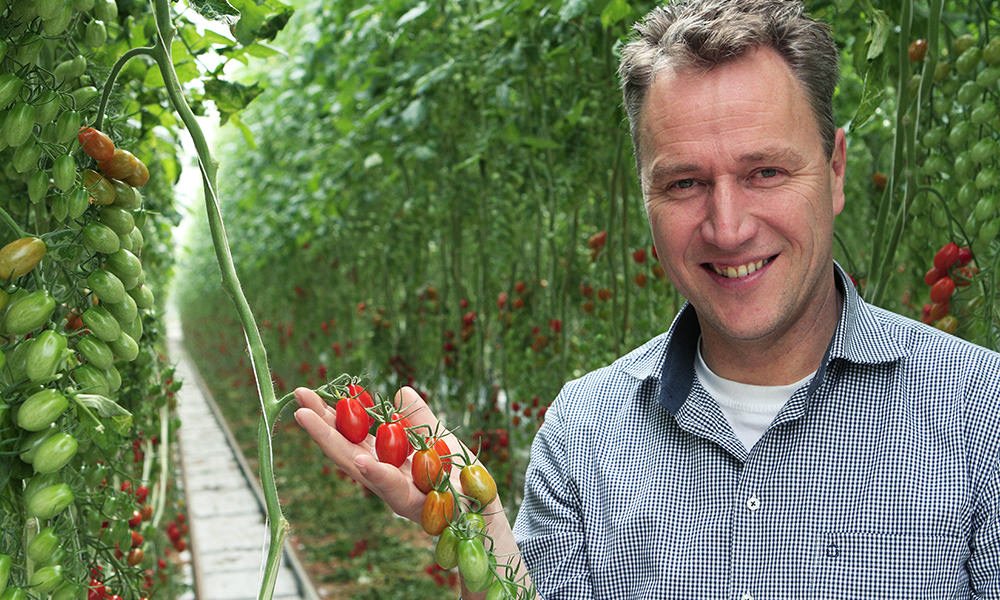 Greenco-ondernemer Jan Zegwaard: “We denken innovatief te zijn, maar een nieuwe soort tomaat is nog echt geen innovatie.”