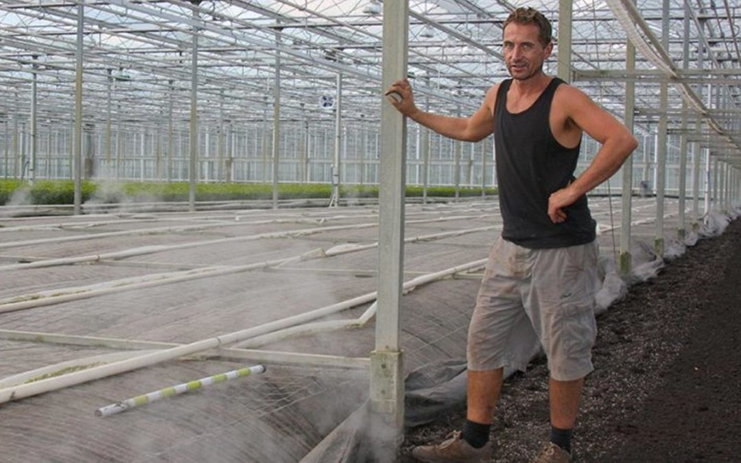 Prevent clean ground becoming infected again immediately