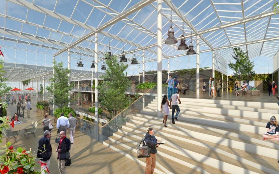 Bouw World of Westland gestart