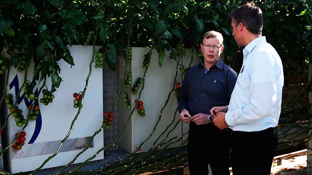 ‘A good growing climate produces healthier plants.’