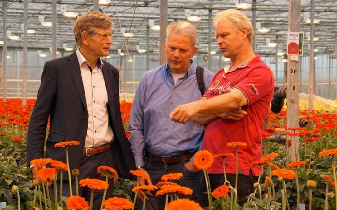 Much to gain with improved control over lighting installations