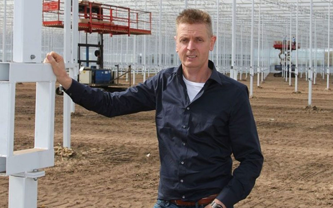 InterGrow well positioned for rising demand in US for greenhouse tomatoes