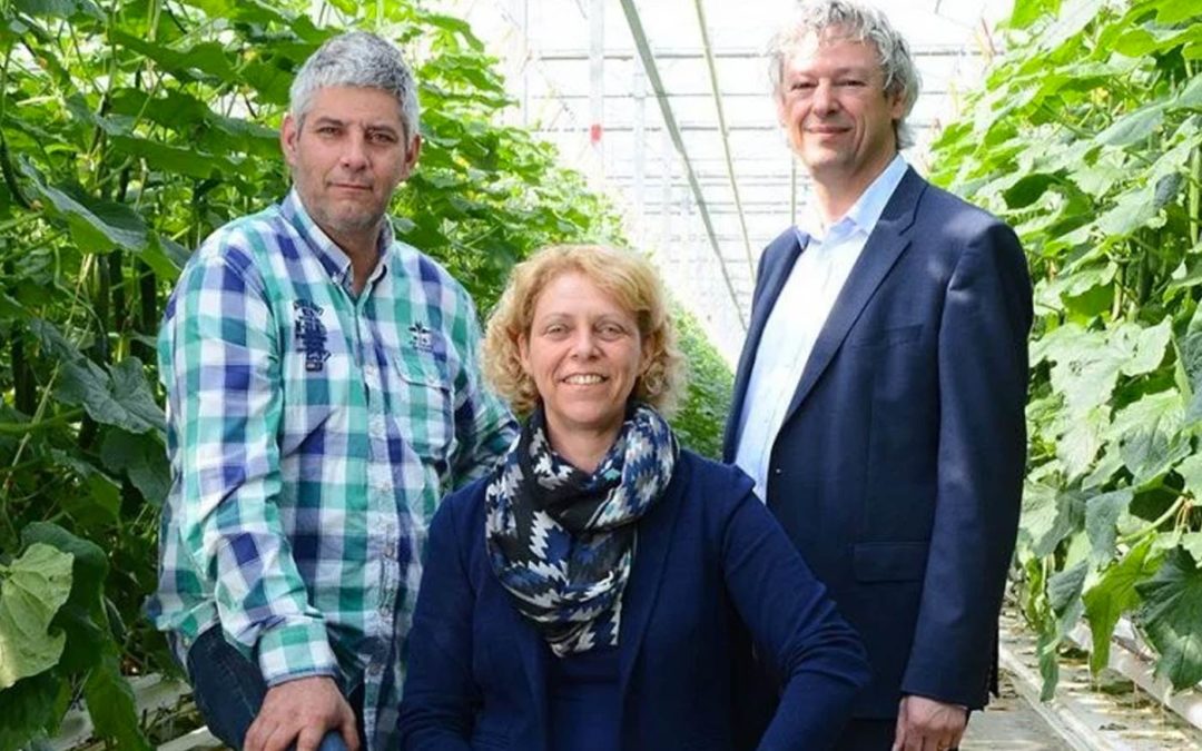 ‘We thought differently about the market for our German branch’