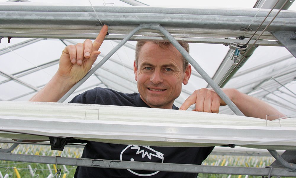 He is the first tomato grower without artificial lighting in the Netherlands to have two transparent energy screens and no dehumidification.
