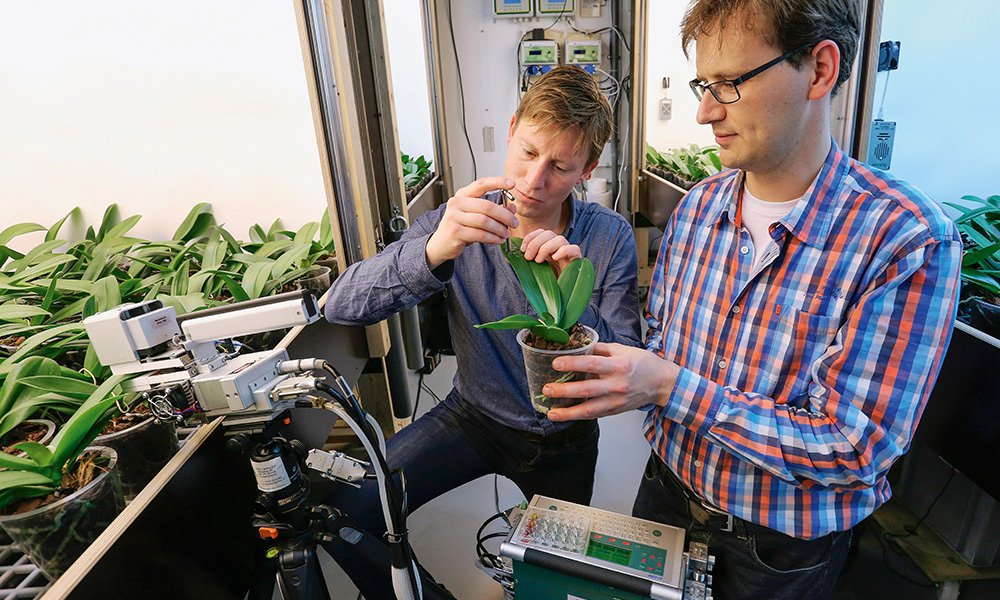 Can you save electricity by dimming both morning and afternoon?