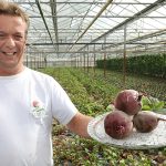Meer beleving, streekpromotie en vooral smaak, daarmee verovert groenteteler Johan Haverhals via veiling Zaltbommel de harten van de oudere consument.