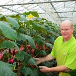 Komkommerbedrijf Gerja heeft een jaar ervaring met dubbelstrengs tussenbelichting. De teler heeft geëxperimenteerd met belichtingsstrategieën