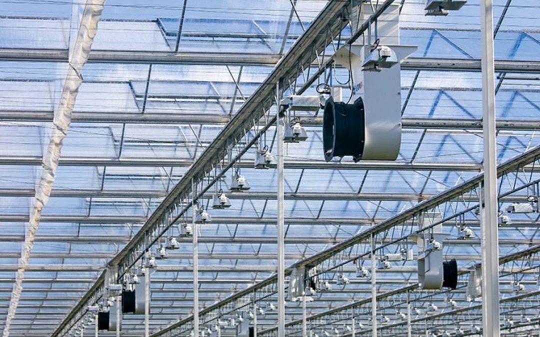 Using dry air above screen to remove moisture seems effective