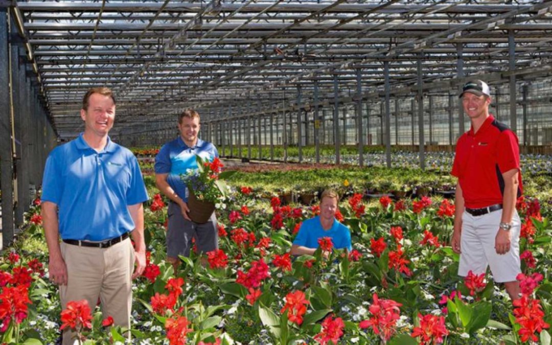 Innovation and big data analysis key to four decades of growth