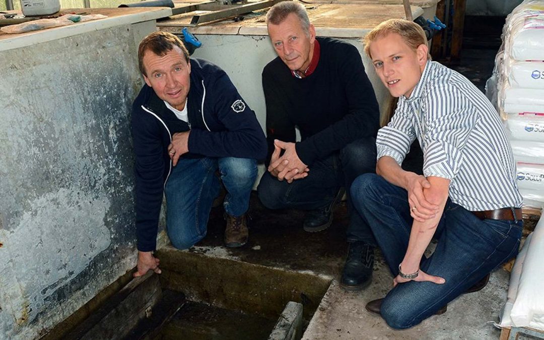 Vermindering hoeveelheid drain door hogere grondwaterstand leliebedrijf