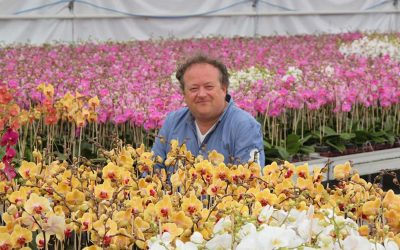 Phalaenopsisteler bijt spits af met gecertificeerde biologische productie
