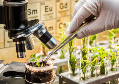 Groen licht voor nieuwe veredelingstechnieken als CRISPR-Cas