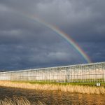 Vanuit de verplichtingen van de Europese Kader Richtlijn Water moet het oppervlaktewater uiterlijk in 2027 voldoen aan de Europese normen.