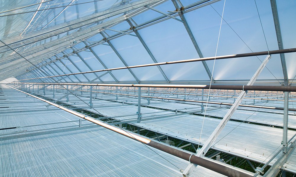 Strategisch onderzoek moet toekomst voor tuinbouw zeker stellen
