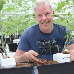 Tomatenteler Kees Stijger heeft dit jaar op proef een kraanvak met trostomaten op een organisch substraat. Hij verwacht een goede productie.