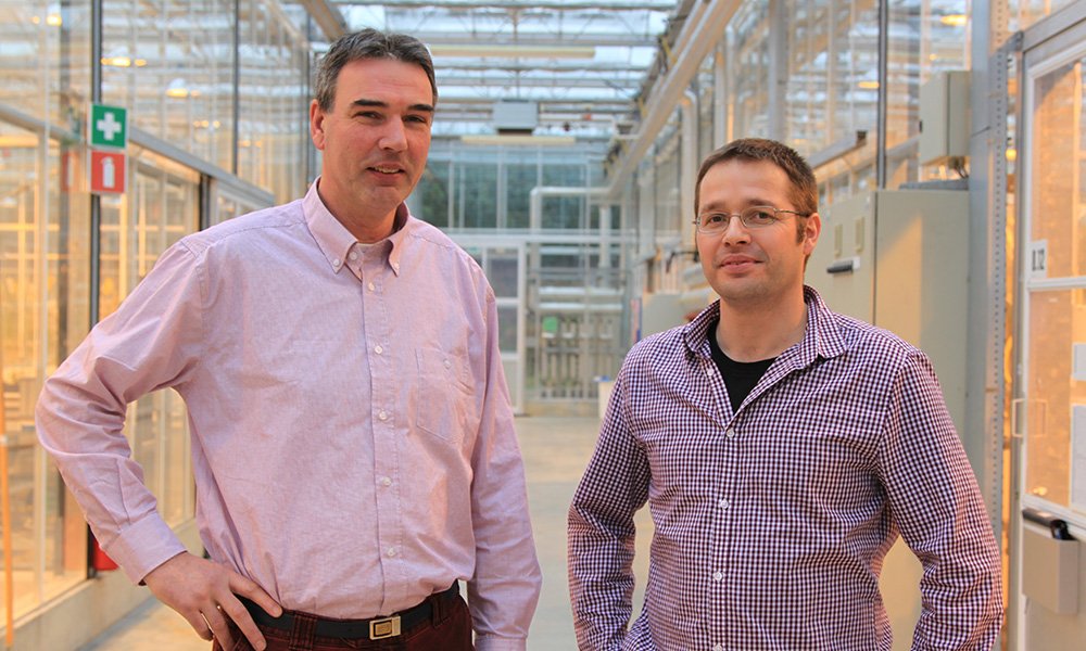 Het afnemende gebruik van aardgas maakt CO2 tot een schaarser product en dwingt telers uit te zien naar andere bronnen voor dosering.