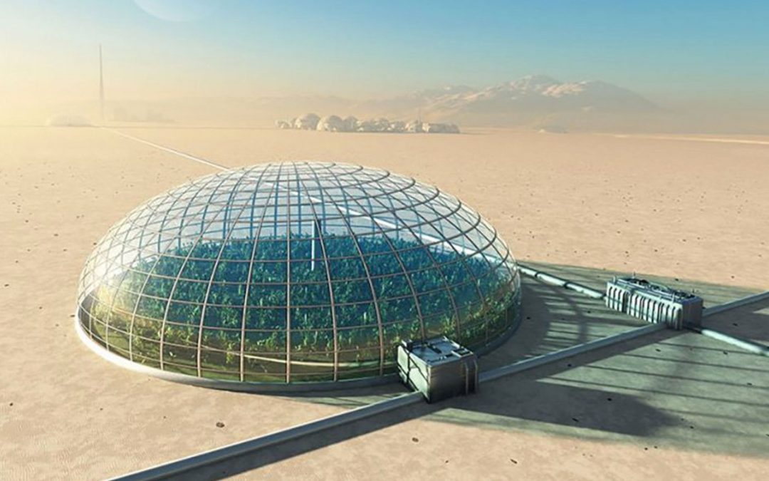 Groen Agro Control prijswinnaar met ruimtetechnologie in de tuinbouw