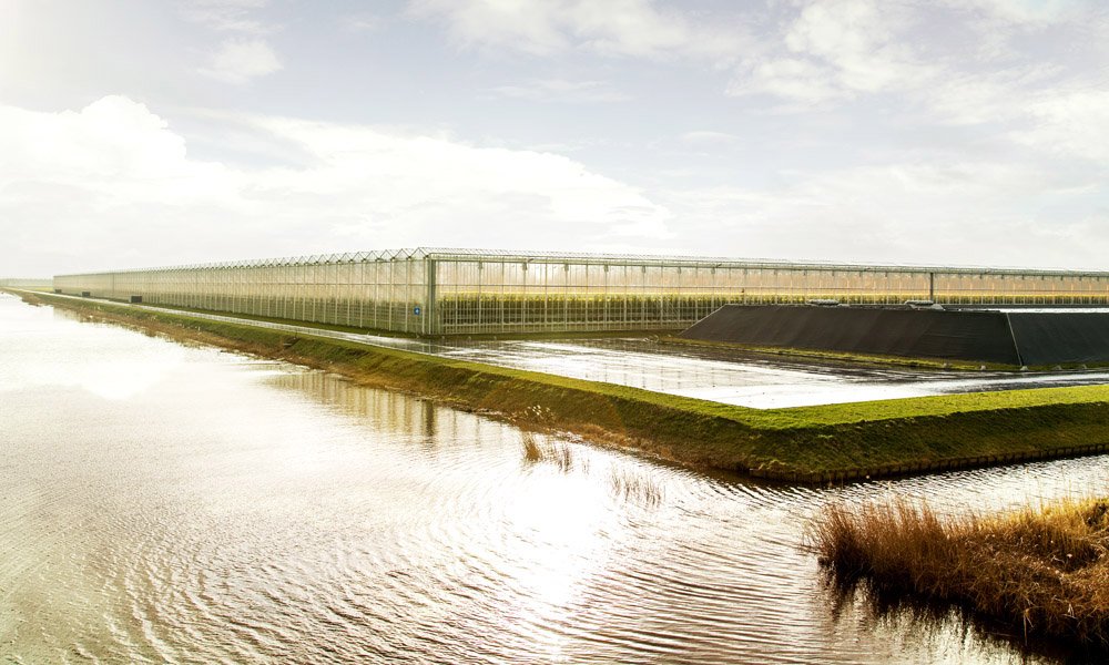 Glastuinbouw in West-Nederland krijgt efficiëntere controles