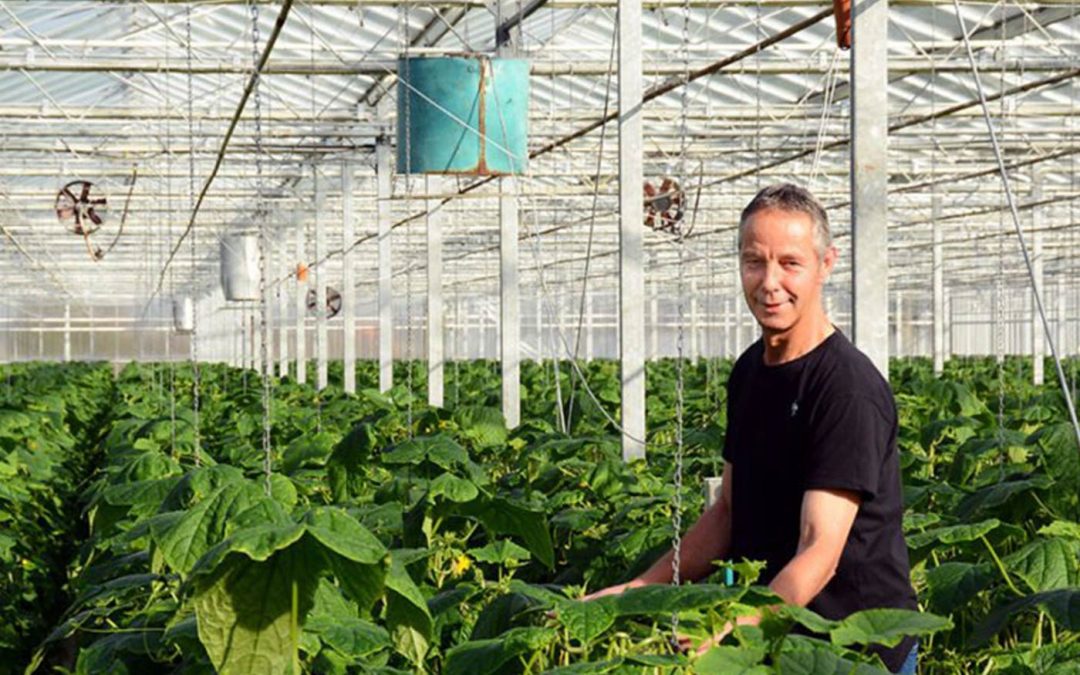 Langer profijt van vast AC-scherm met verticale ventilatoren