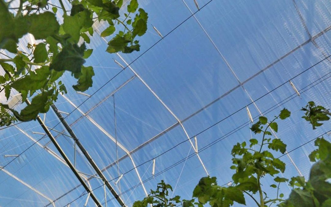 Meer licht via doorbraak in energiebesparende klimaatscherm
