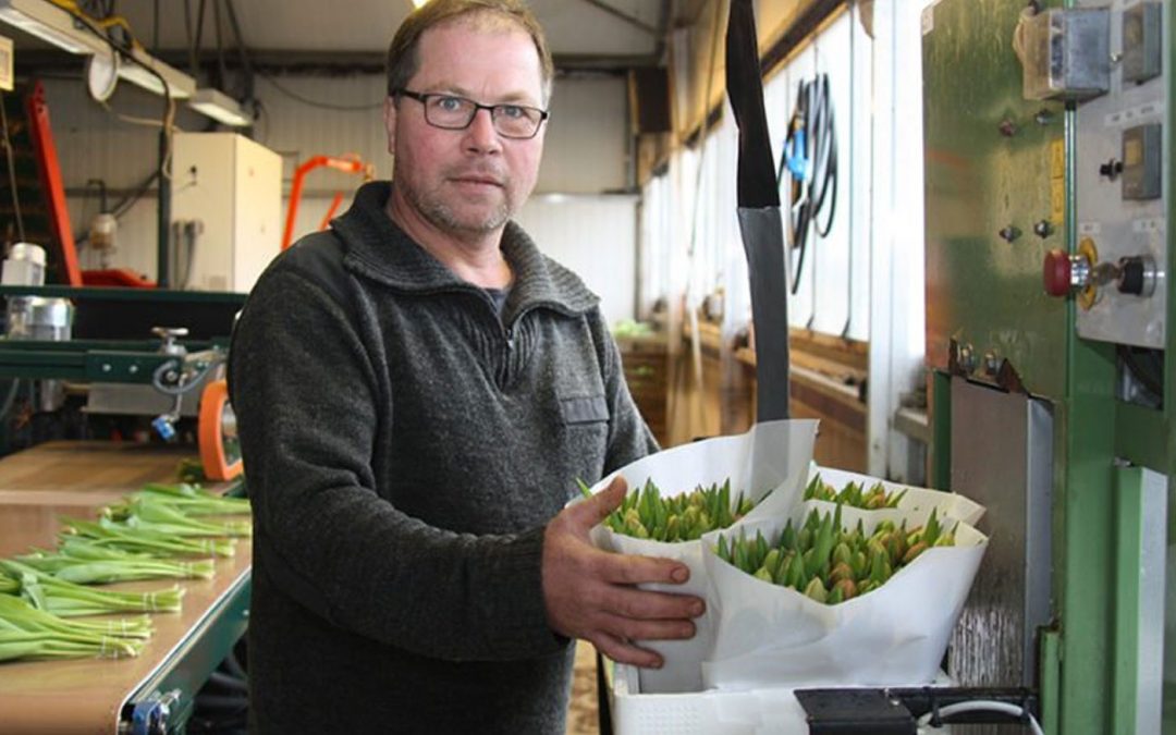 ‘We onderscheiden ons met inmiddels vier eigen Veronica-rassen’